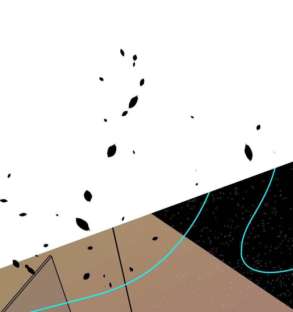 Signals Chapter 21 page 11 - 