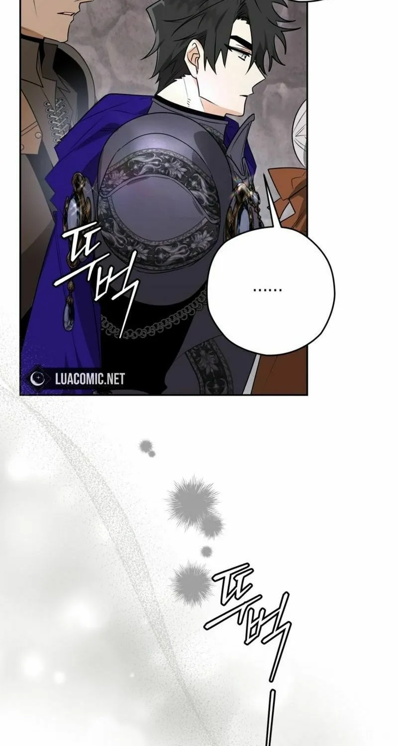 Read Sigrid chapter 111 image 25 on Lezhin