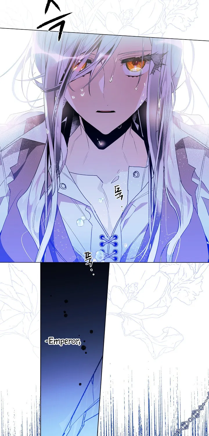 Read Sigrid chapter 6 image 42 on Lezhin
