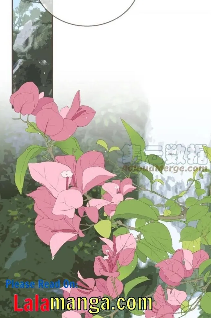 Read Silent Lover chapter 111 image 25 on Lezhin