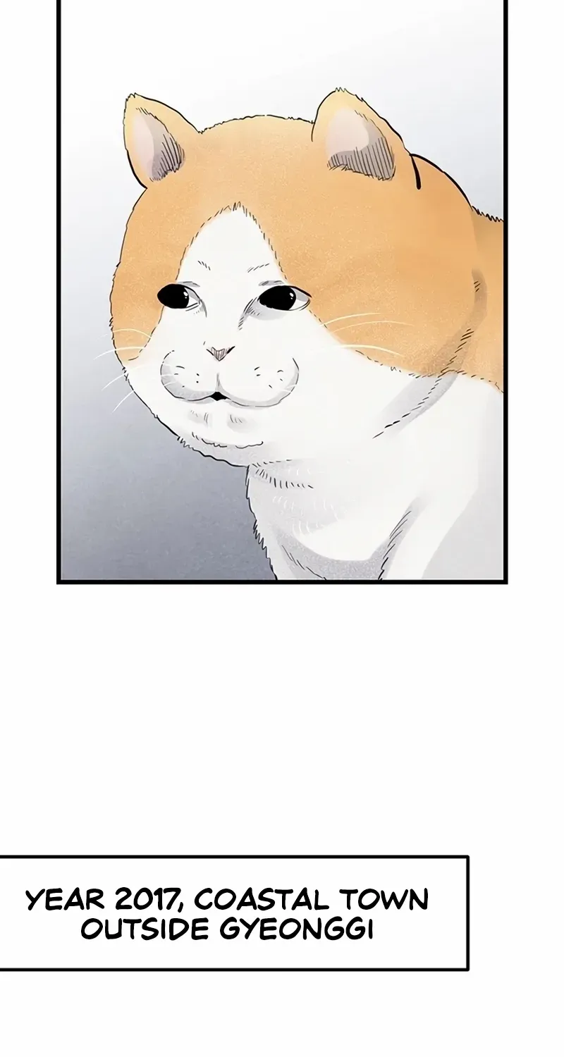 Read Silent Transfer Student chapter 1 image 1 on Lezhin