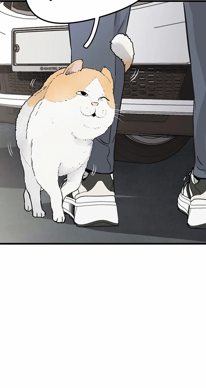 Read Silent Transfer Student chapter 1 image 30 on Lezhin