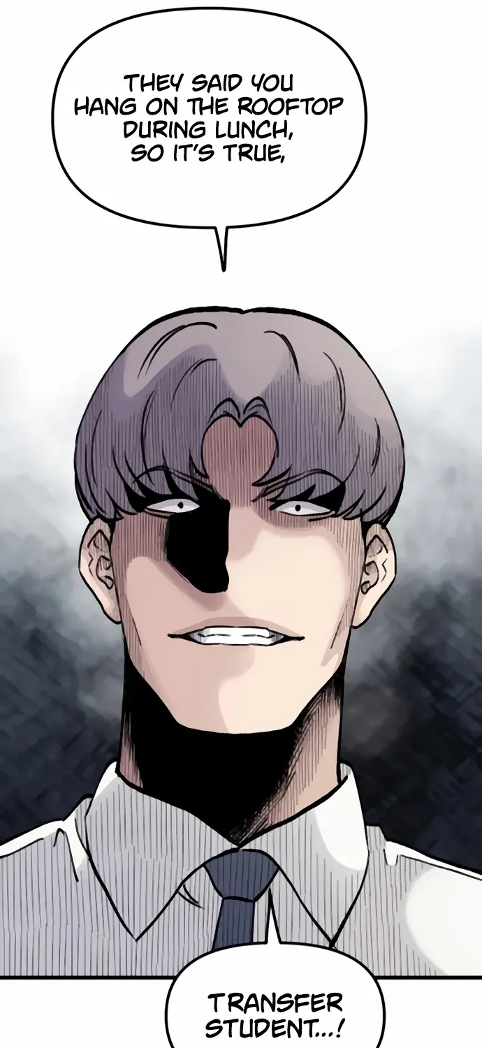 Read Silent Transfer Student chapter 9 image 86 on Lezhin