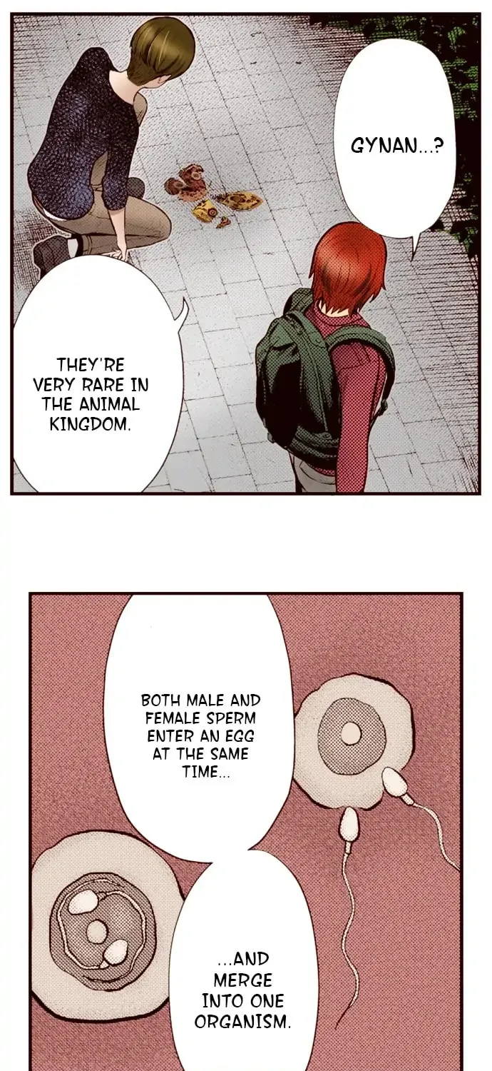 Read Silver By Night chapter 72 image 11 on Lezhin