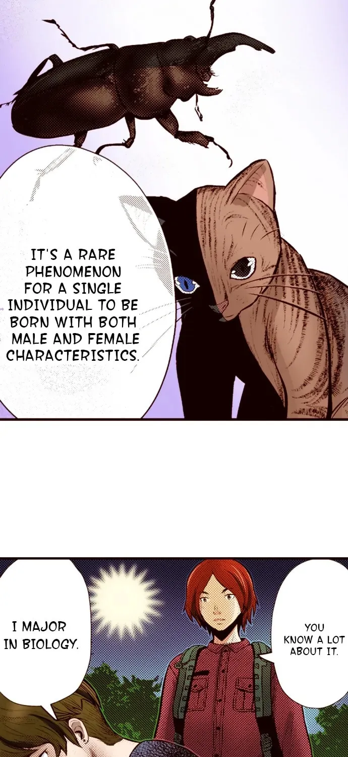 Read Silver By Night chapter 72 image 13 on Lezhin