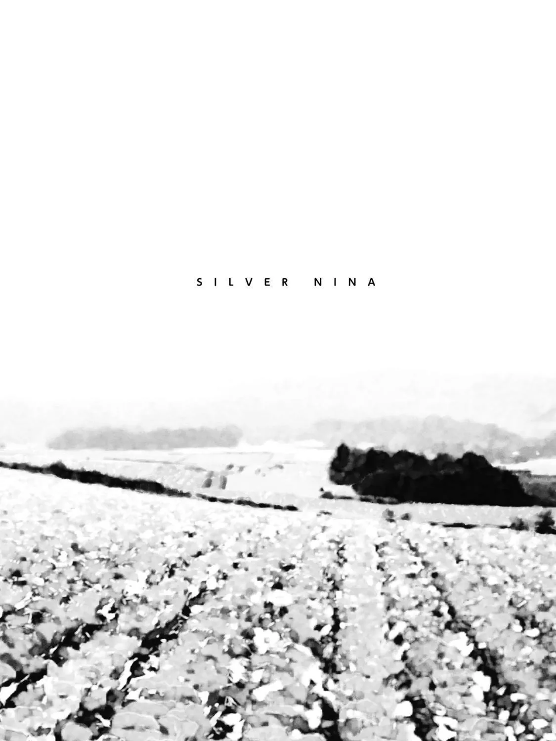 Read Silver Nina chapter 12 image 2 on Lezhin