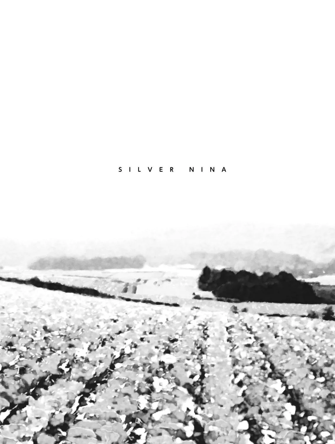 Read Silver Nina chapter 16 image 2 on Lezhin