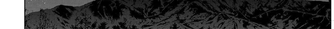 Read Silver Nina chapter 52 image 15 on Lezhin