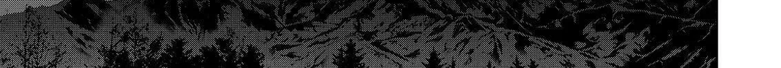 Read Silver Nina chapter 72 image 13 on Lezhin
