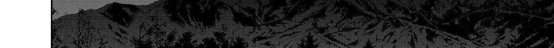 Read Silver Nina chapter 79 image 23 on Lezhin