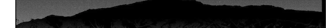 Read Silver Nina chapter 88 image 31 on Lezhin