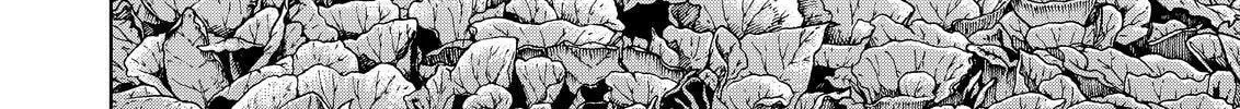 Read Silver Nina chapter 98 image 3 on Lezhin