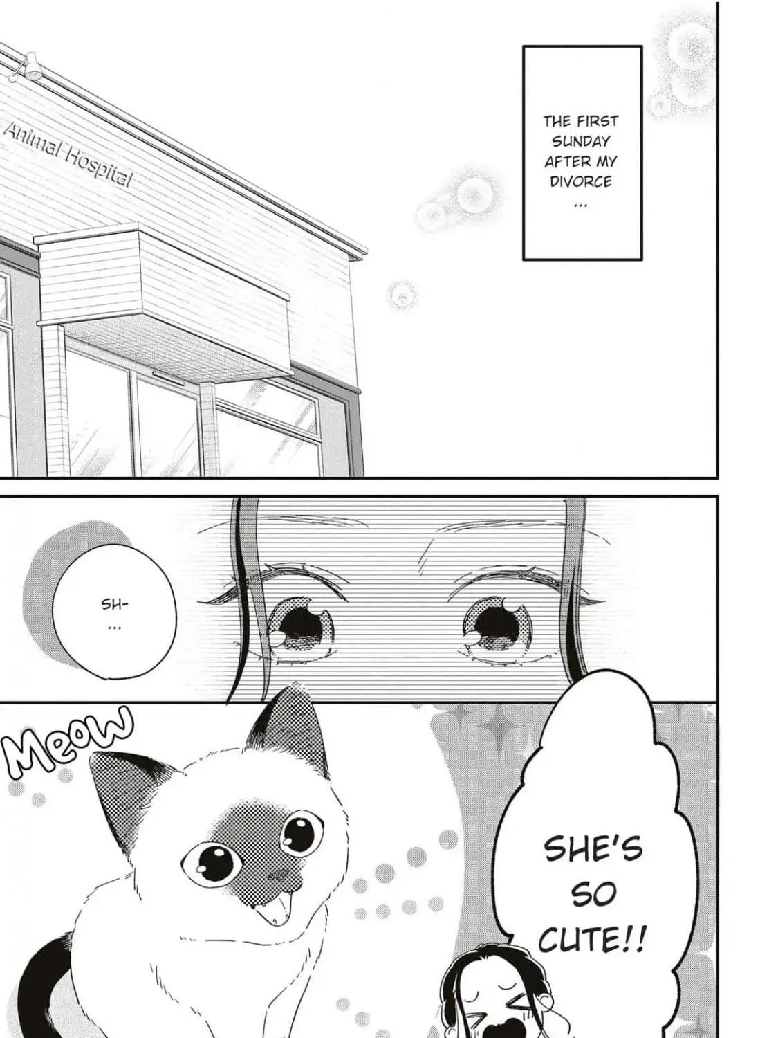 Read Since When Do Guys Find Divorcees Attractive? chapter 5 image 4 on Lezhin