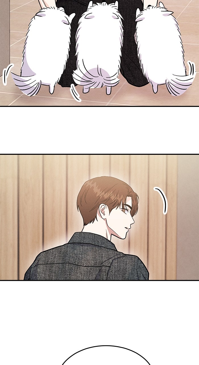 Read Singles’ Royale chapter 44 image 65 on Lezhin