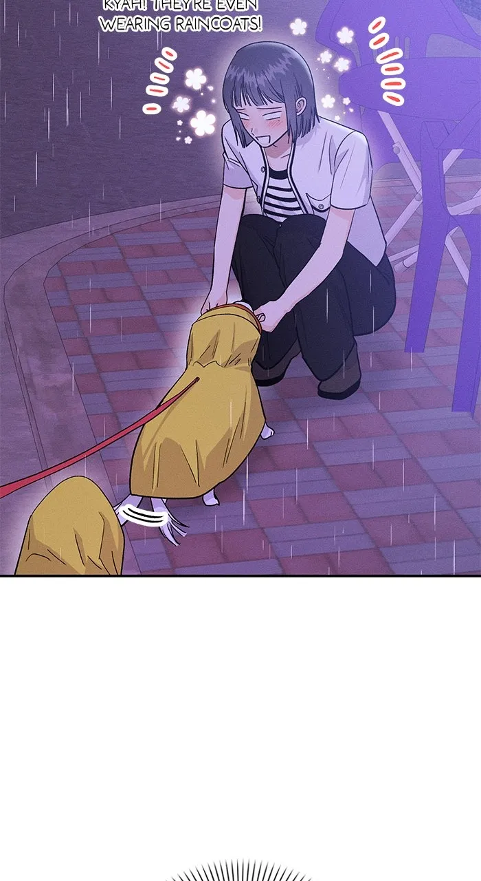 Read Singles’ Royale chapter 7 image 82 on Lezhin