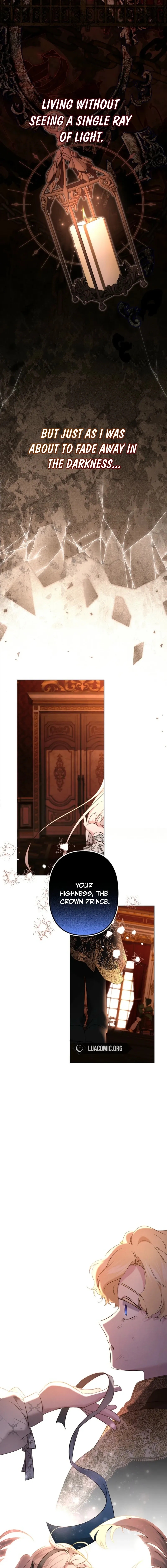 Read Sistervention chapter 141 image 2 on Lezhin
