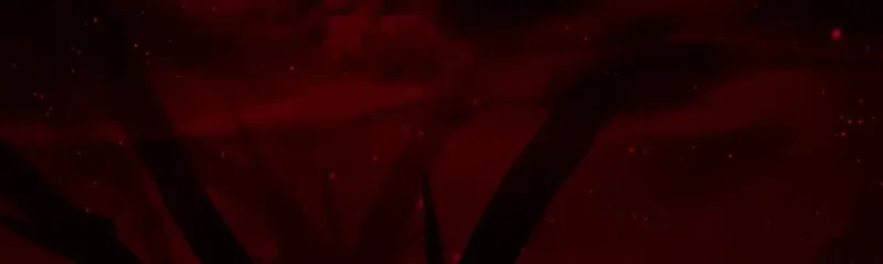 Read Sistervention chapter 46 image 66 on Lezhin