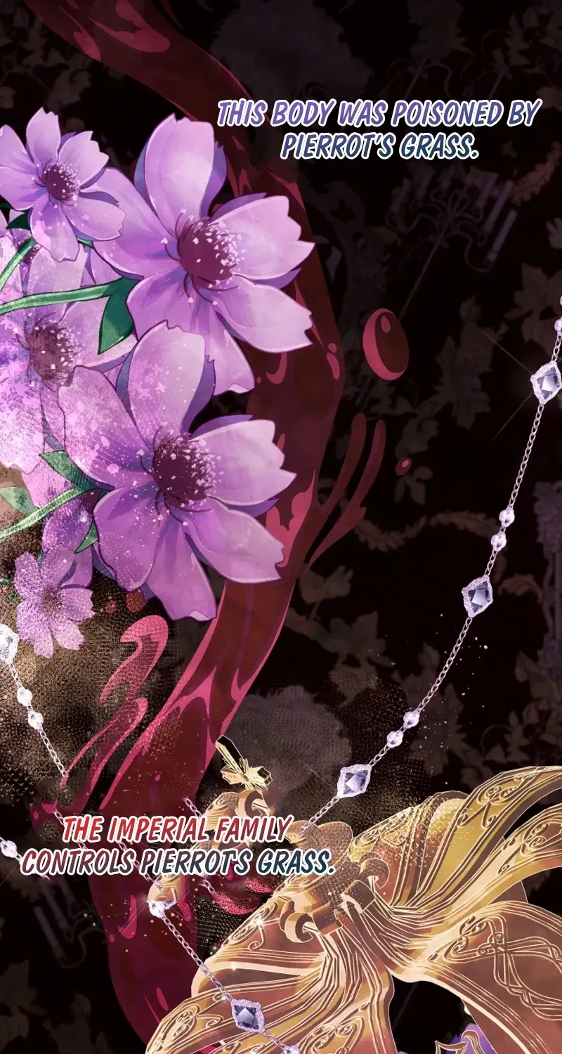 Read Sistervention chapter 48 image 20 on Lezhin