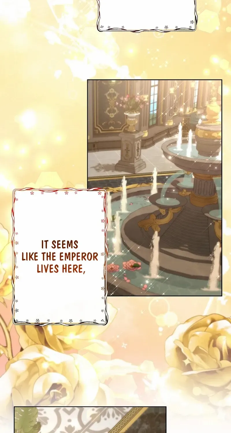 Read Sistervention chapter 54 image 32 on Lezhin