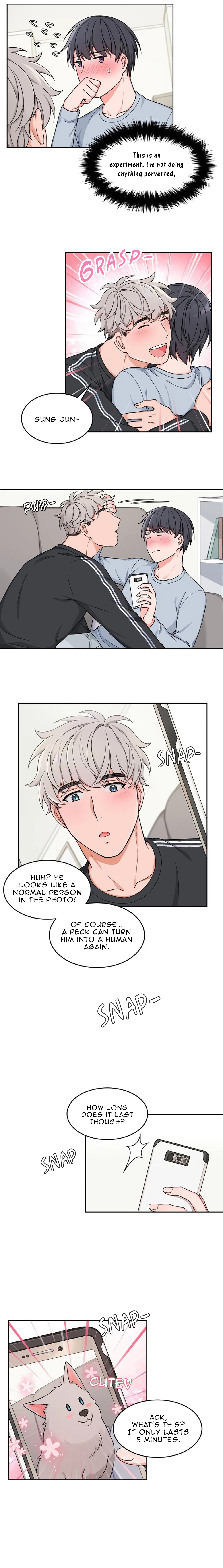 Read Sit, Wait, Kiss Me chapter 12 image 8 on Lezhin