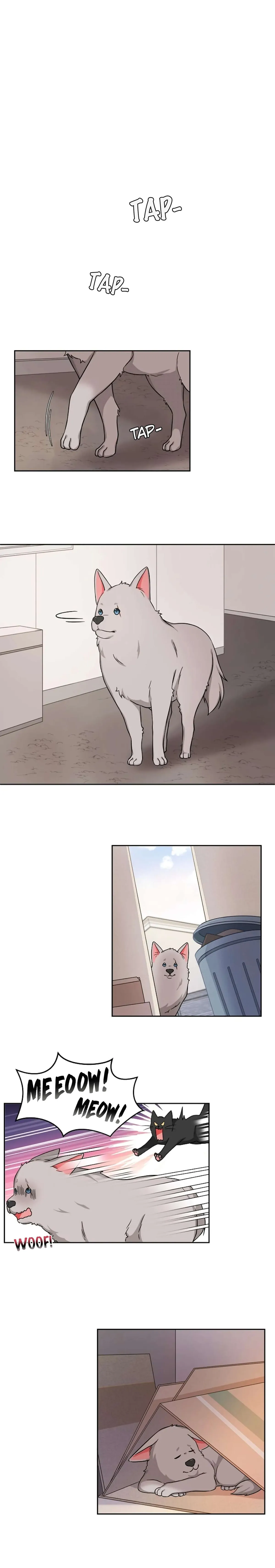 Read Sit, Wait, Kiss Me chapter 17 image 11 on Lezhin