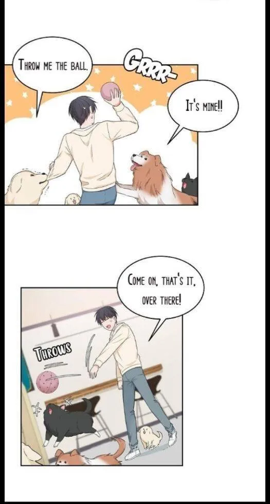 Read Sit, Wait, Kiss Me chapter 46.3 image 17 on Lezhin