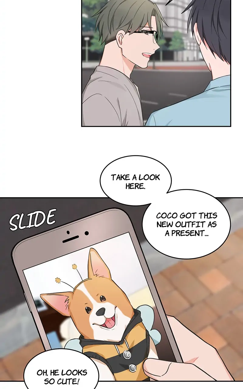 Sit, Wait, Kiss Me Chapter 47 page 3 - 