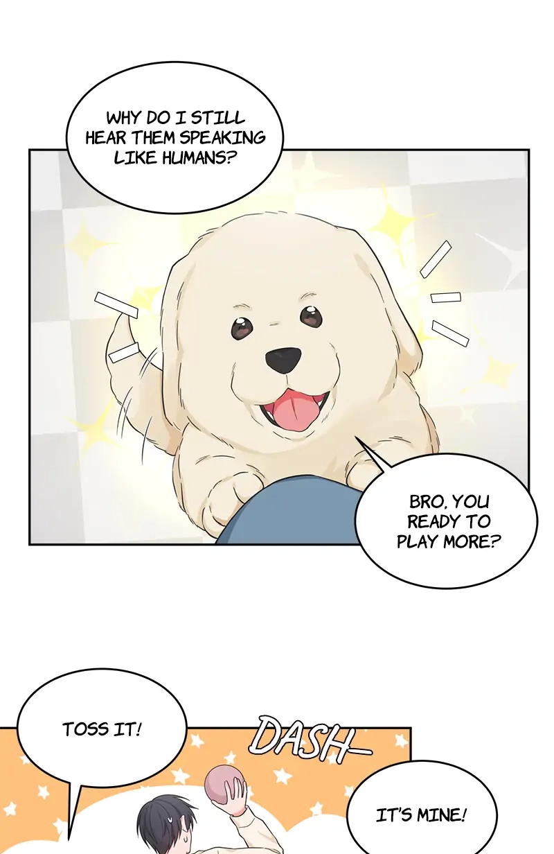 Read Sit, Wait, Kiss Me chapter 49 image 22 on Lezhin