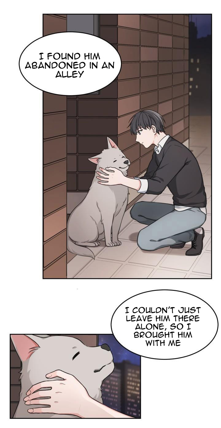 Read Sit, Wait, Kiss Me chapter 5 image 13 on Lezhin
