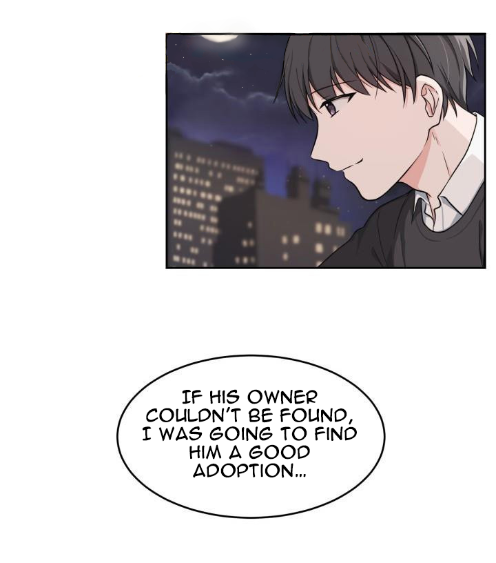 Read Sit, Wait, Kiss Me chapter 5 image 14 on Lezhin