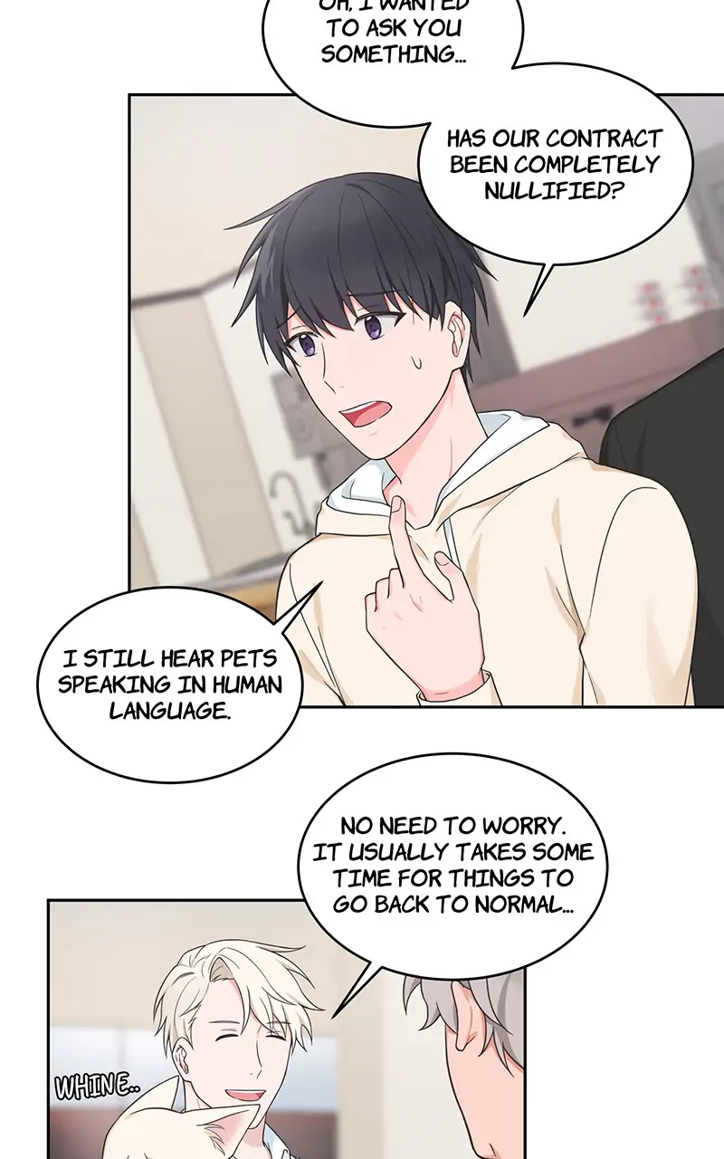 Read Sit, Wait, Kiss Me chapter 50 image 4 on Lezhin