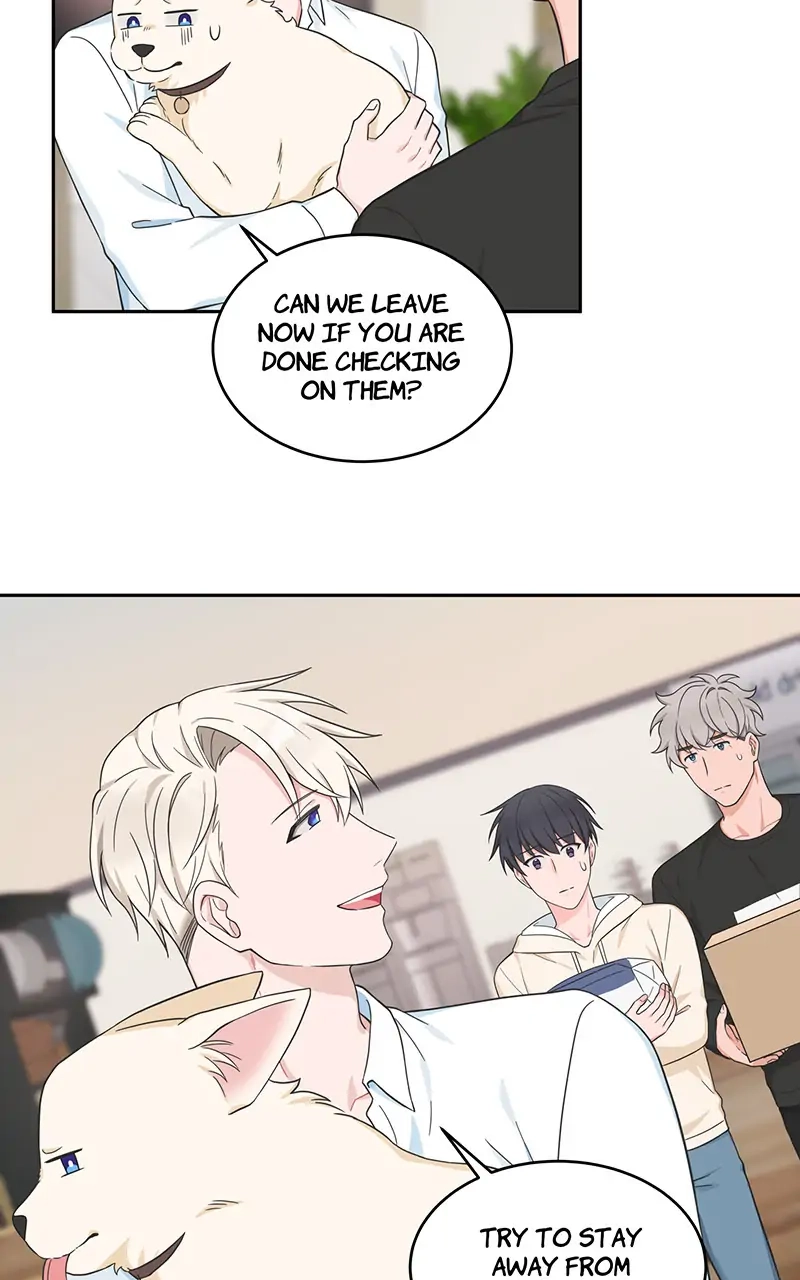Read Sit, Wait, Kiss Me chapter 50 image 5 on Lezhin