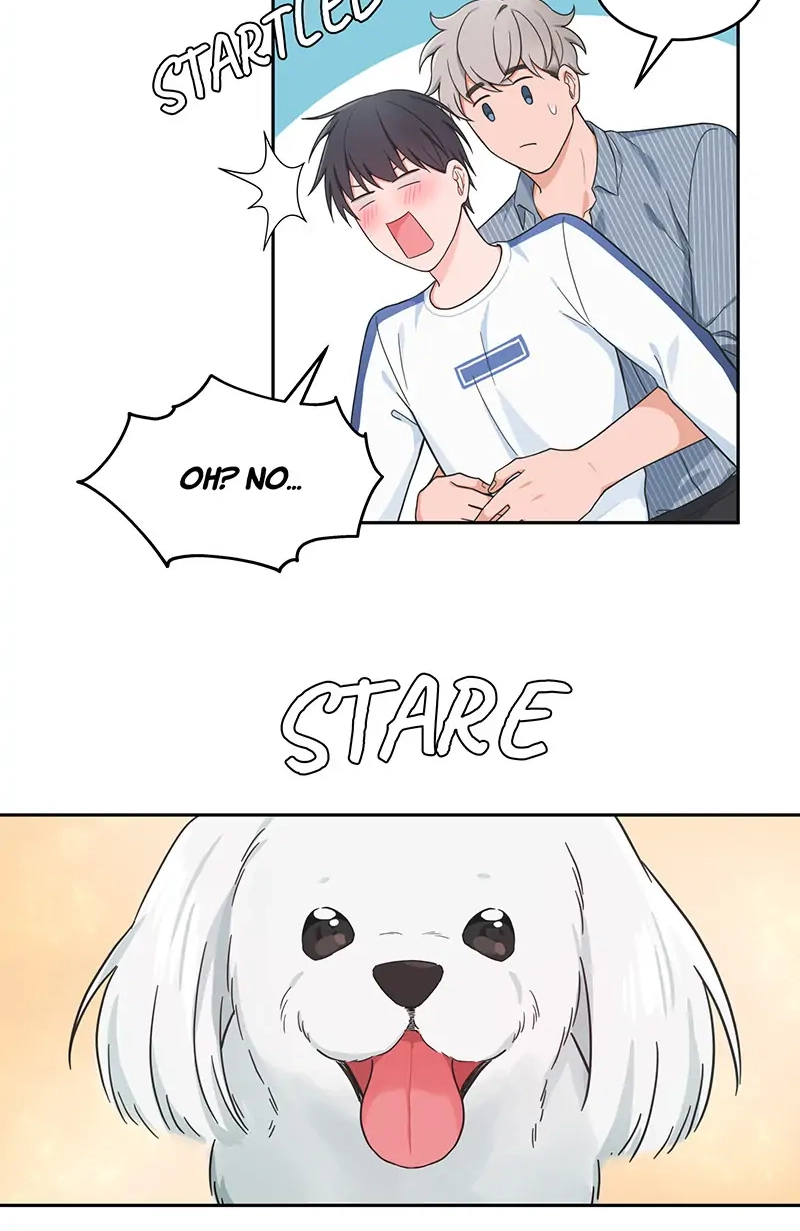 Read Sit, Wait, Kiss Me chapter 52 image 11 on Lezhin