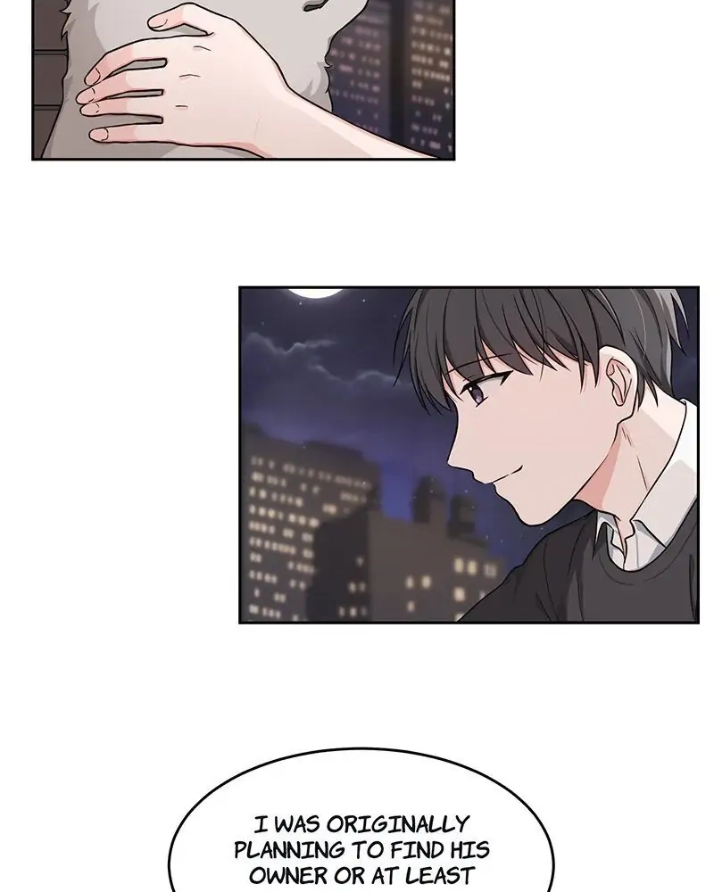 Read Sit, Wait, Kiss Me chapter 6 image 18 on Lezhin