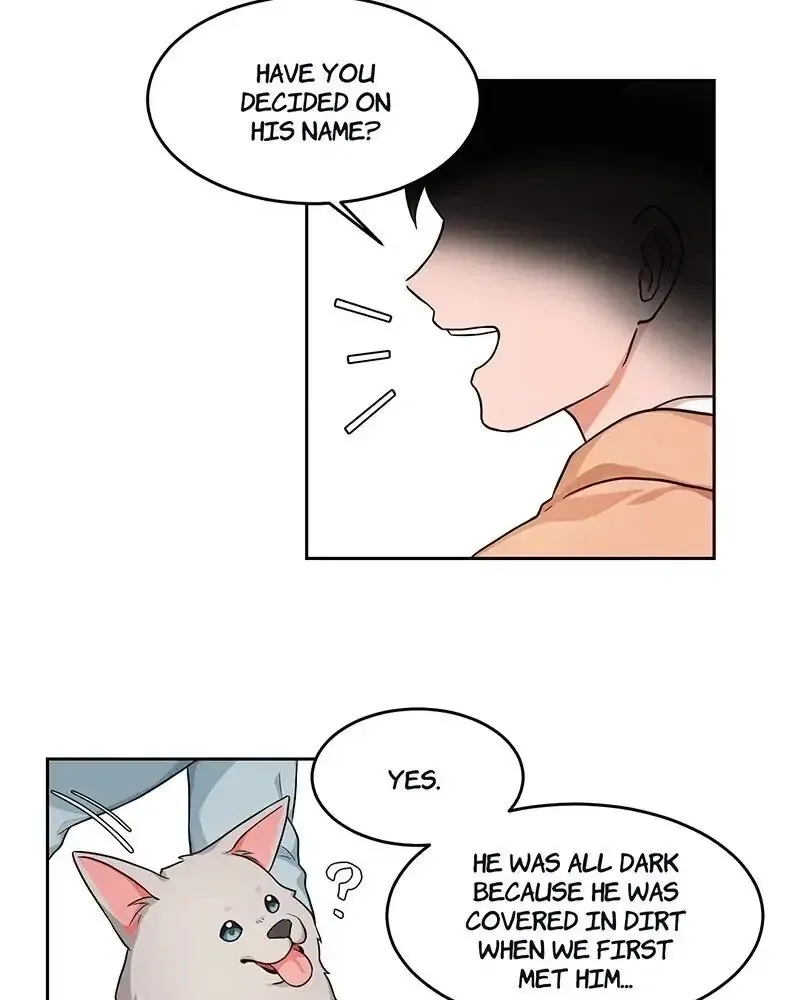 Read Sit, Wait, Kiss Me chapter 6 image 49 on Lezhin