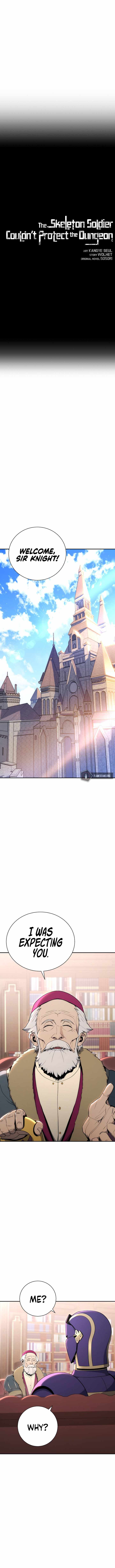 Read Skeleton Soldier Couldn’t Protect the Dungeon chapter 166 image 1 on Lezhin