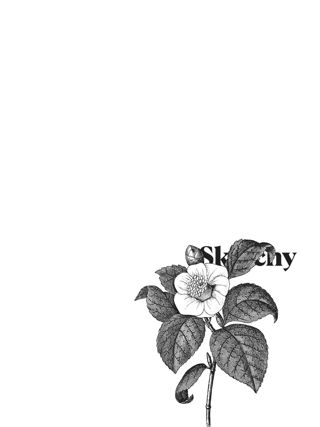 Read Sketchy chapter 2 image 66 on Lezhin