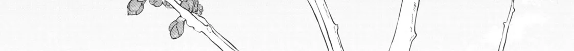 Read Sketchy chapter 20 image 51 on Lezhin