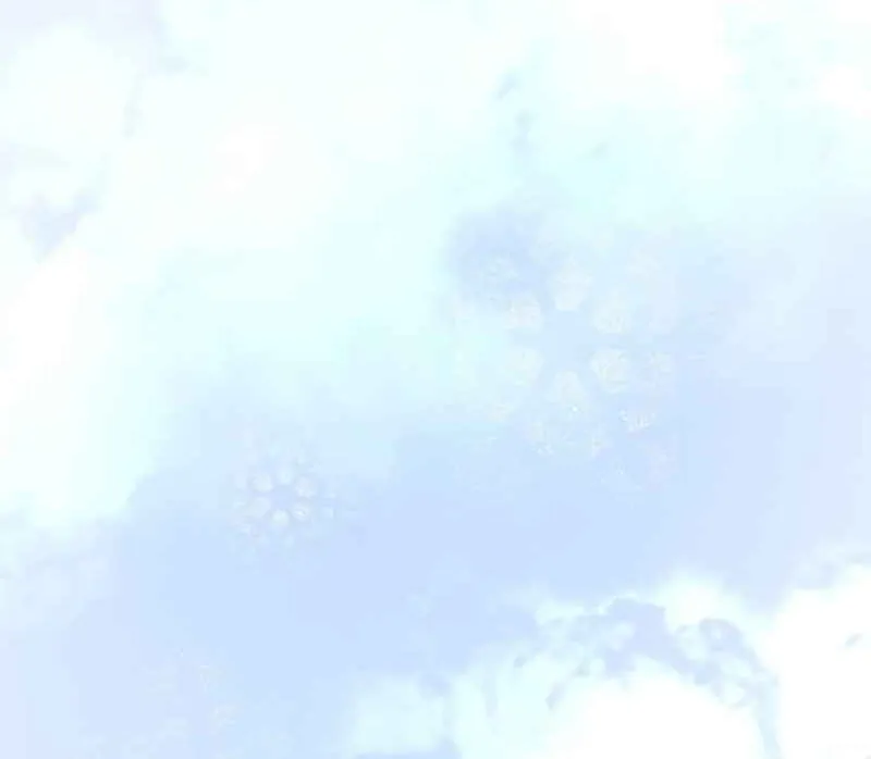 Read Skill Master Levels Up chapter 111.6 image 12 on Lezhin