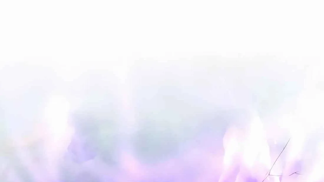 Read Skill Master Levels Up chapter 112.7 image 105 on Lezhin