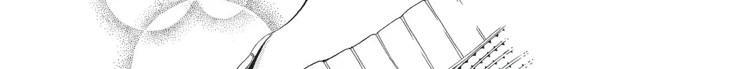 Read Skip Beat! chapter 114 image 15 on Lezhin