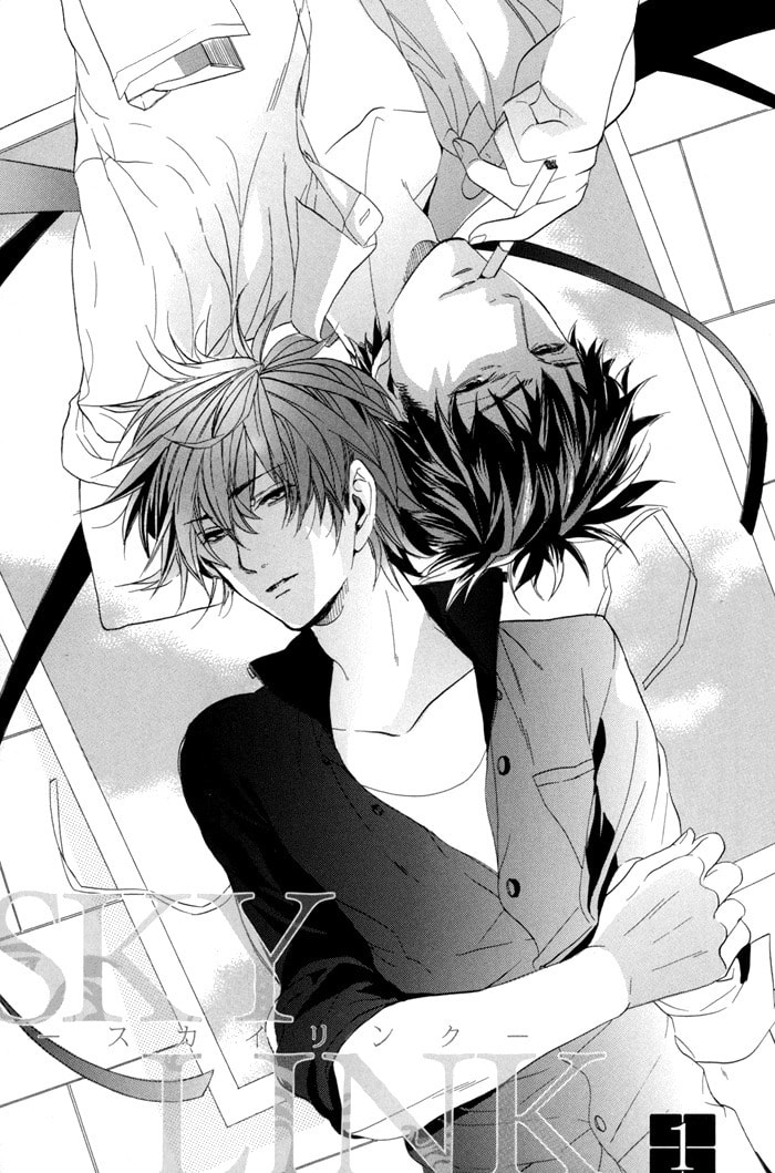Read Sky Link chapter 1 image 4 on Lezhin