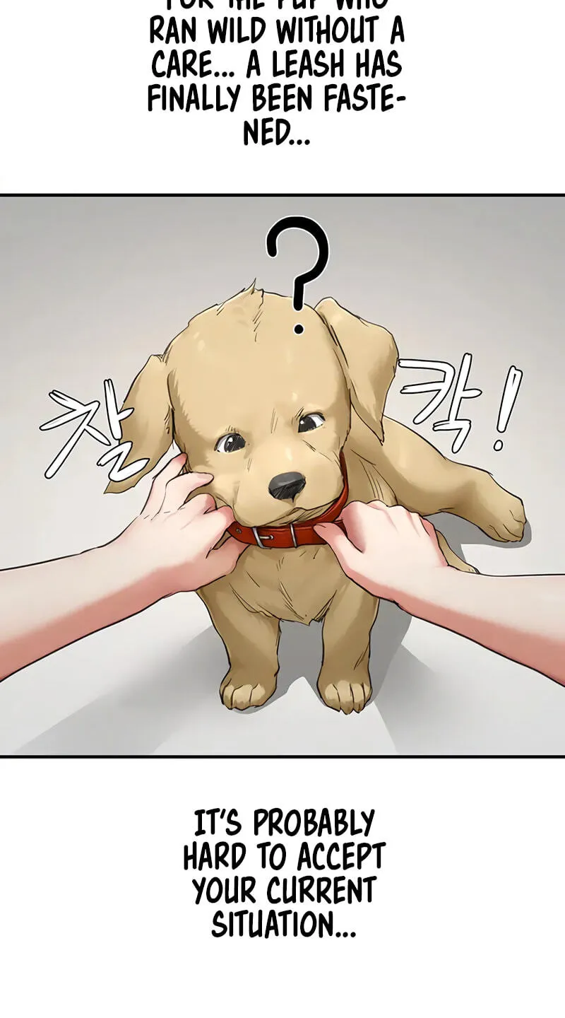 Read Slave Code chapter 16 image 18 on Lezhin