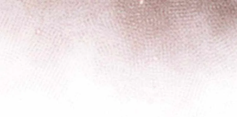 Read Sleeping Ranker chapter 125 image 90 on Lezhin