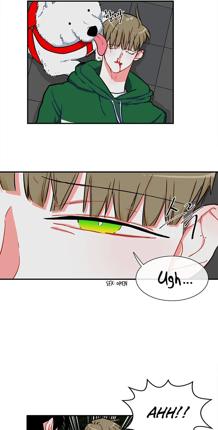 Read Smash It Girl! chapter 8 image 20 on Lezhin