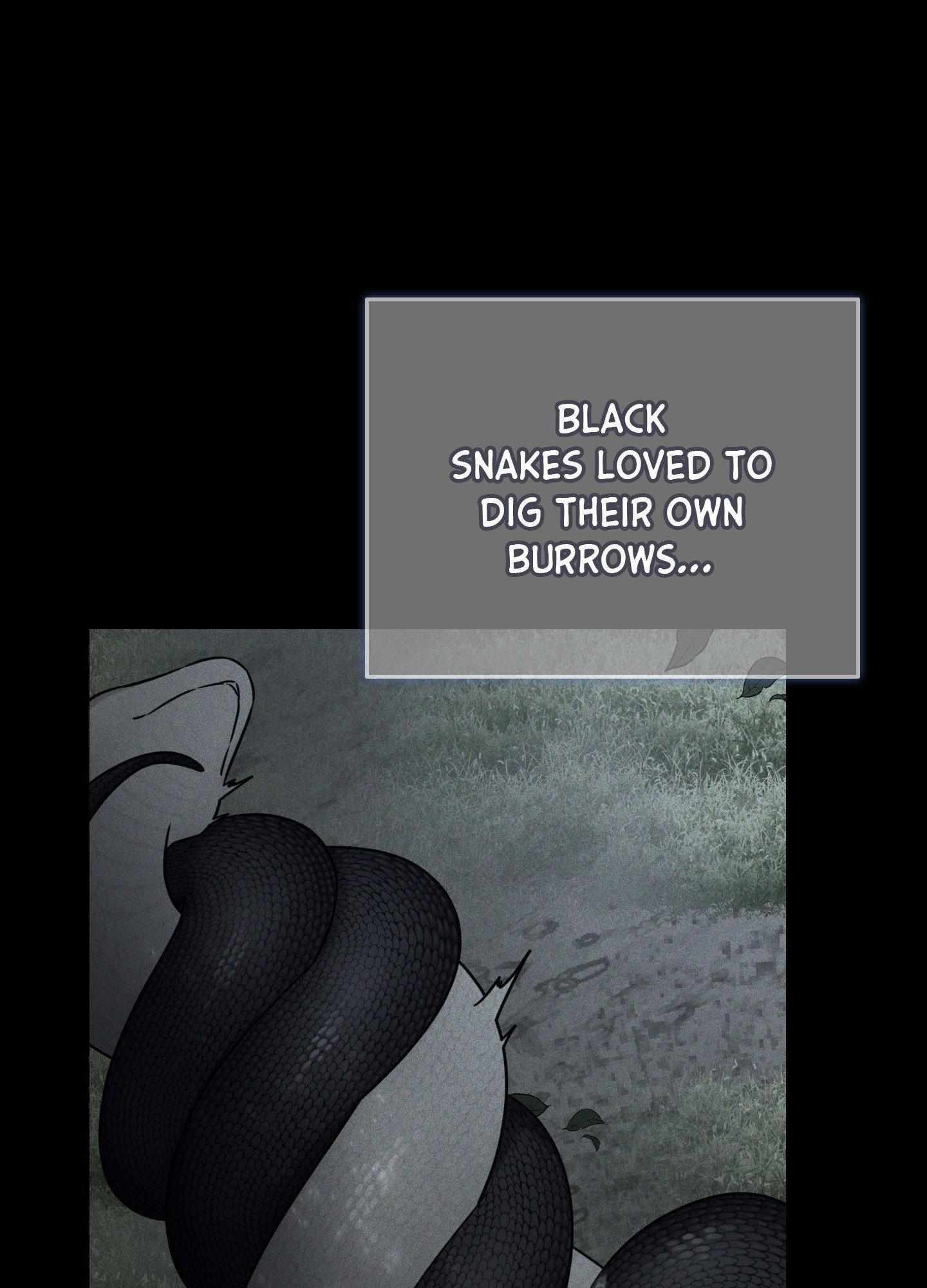 Read Snake Hole chapter 16 image 89 on Lezhin