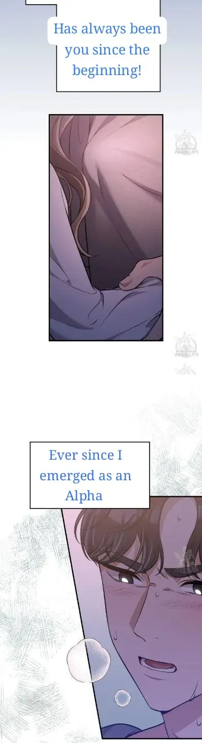 Read Snatching The Bride chapter 1 image 11 on Lezhin