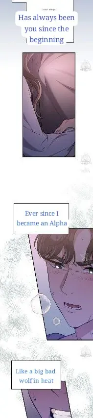 Read Snatching The Bride chapter 1 image 12 on Lezhin