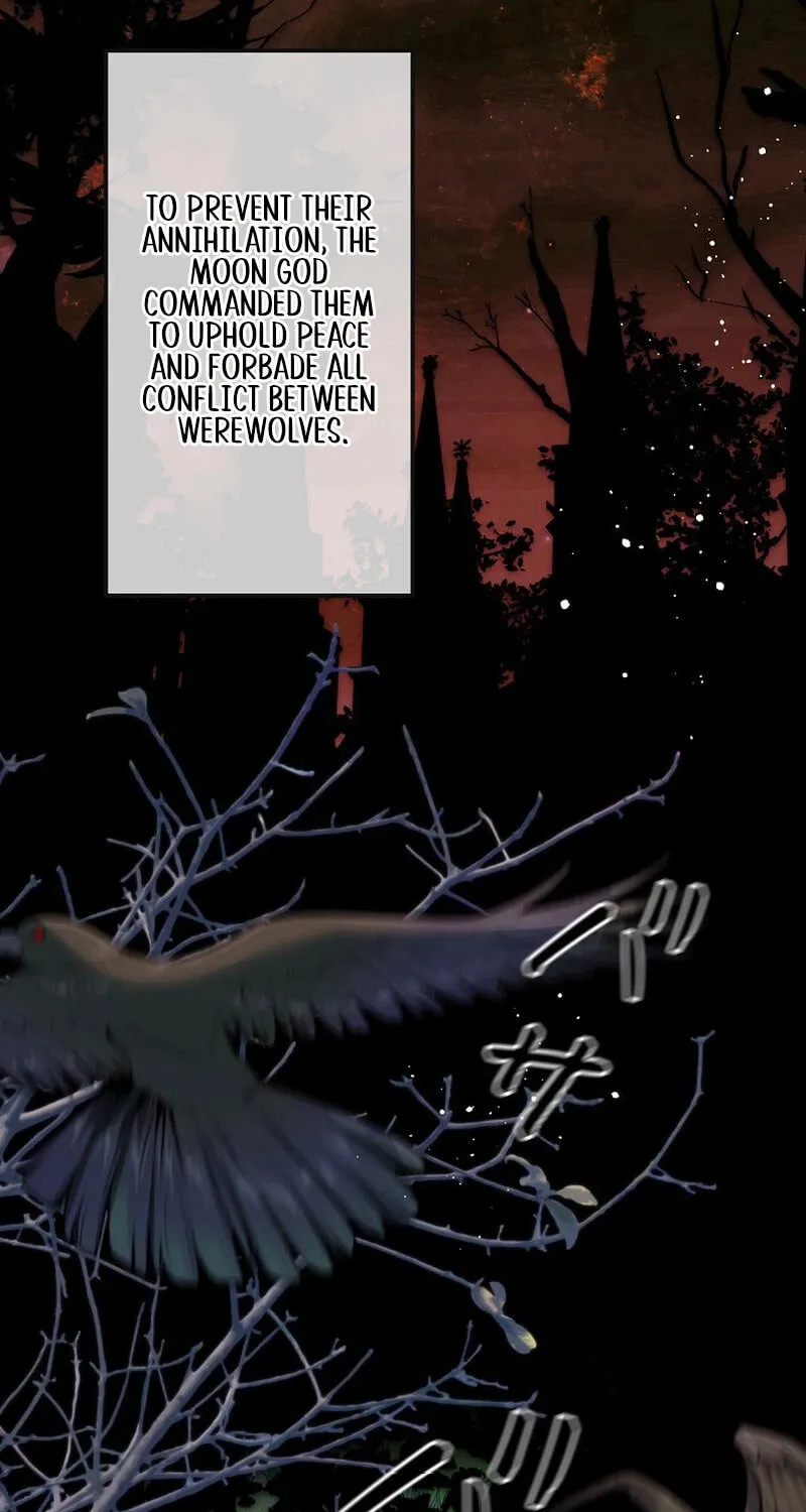 Read Snow Prison chapter 1 image 2 on Lezhin