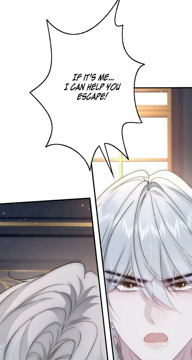 Read Snow Prison chapter 11 image 36 on Lezhin